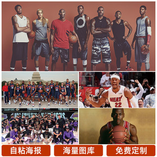 打乱了灰熊