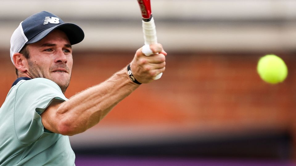 无疑是为了 无疑是为了